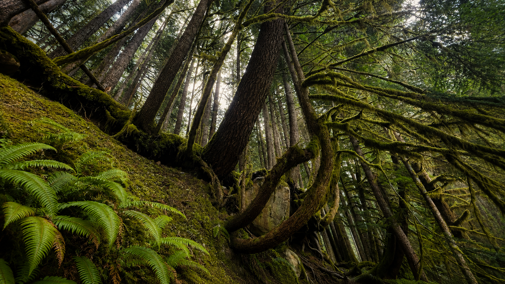 Sol Duc in Olympic National Park, 60 min from Menizei